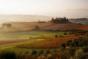 Photography View across Tuscan landscape., Gary Yeowell