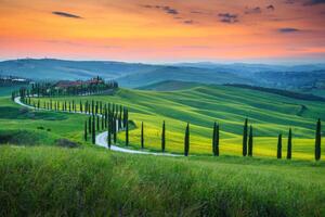 Photography Famous Tuscany landscape with curved road, Janoka82