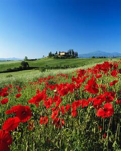 Photography Italy, Tuscany, Val d'Orcia, farmhouse on, David C Tomlinson