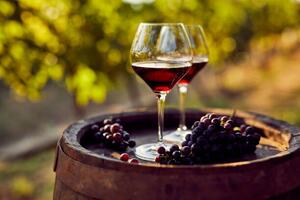 Photography Two glasses of red wine in the vineyard, Rostislav_Sedlacek