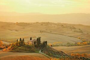 Photography Farm in Tuscany, mammuth