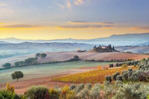 Photography Landscape in Tuscany, Italy, mammuth