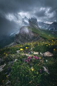 Photography Dolomites - Seceda 2500, Jean Claude Castor