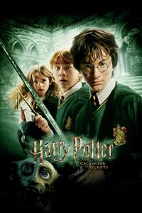 Art Poster Harry Potter - Secret of Chambers, (26.7 x 40 cm)