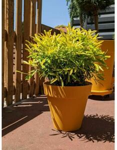 Plant pot Riviera Yellow Ø 60 cm