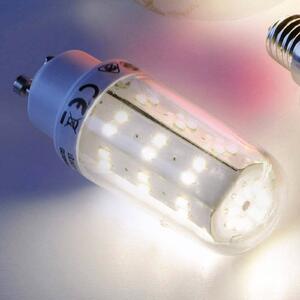 Leuchten Direkt GU10 4W tube LED bulb, clear, with 69 LEDs