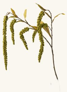 Artificial flower foxtail - 78 cm. - Green - Søstrene Grene