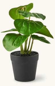 Artificial plant in pot philodendron - Ø9 x 22 cm. - Green - Søstrene Grene