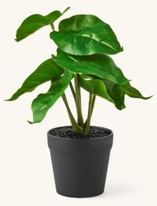 Artificial plant in pot philodendron - Ø9 x 22 cm. - Green - Søstrene Grene