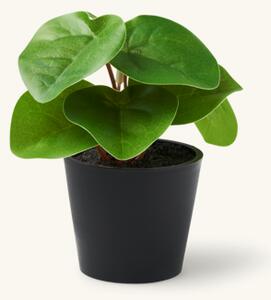 Artificial pilea in pot - Ø7 x 6 cm. - Green - Søstrene Grene