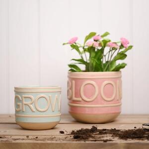 Country Living Set of 2 Ceramic Bloom and Grow Plant Pots