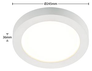 Prios Edwina LED ceiling light, white, 24.5 cm