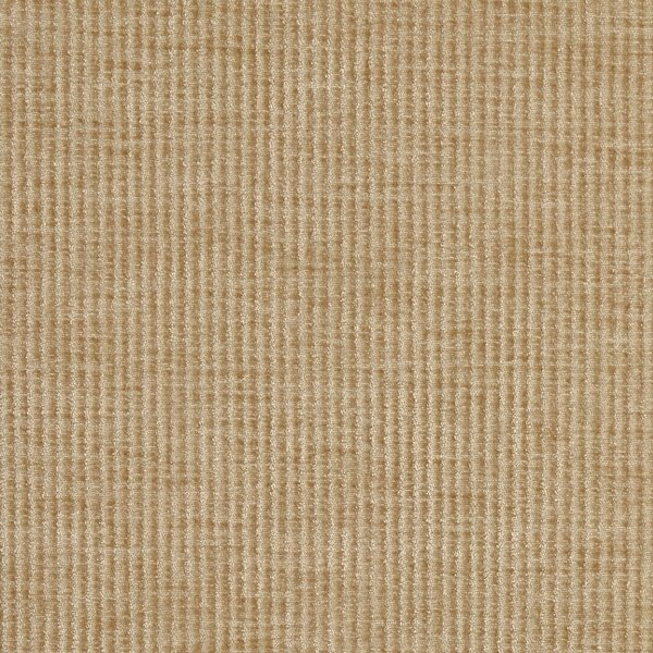 Prestigious Textiles Cord Chenille Fabric Pampas
