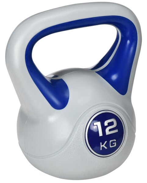 SPORTNOW Kettlebell, 12kg Kettle Bells with Handle for Home Gym Weight Lifting and Strength Training, Dark Blue and Grey