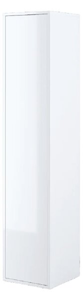 Clarion High Gloss Storage Cabinet With 1 Door In White