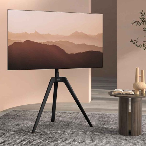 Tyler Floor Standing Wooden TV Stand - Black