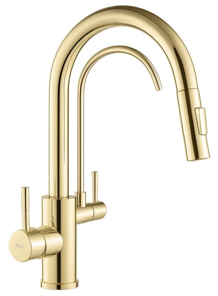 Kitchen faucet Eco Fresh GOLD