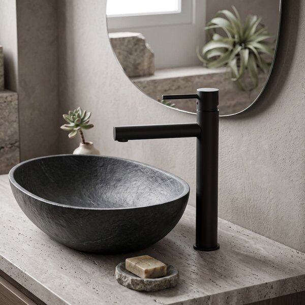 Bathroom faucet Rea Tess High Black