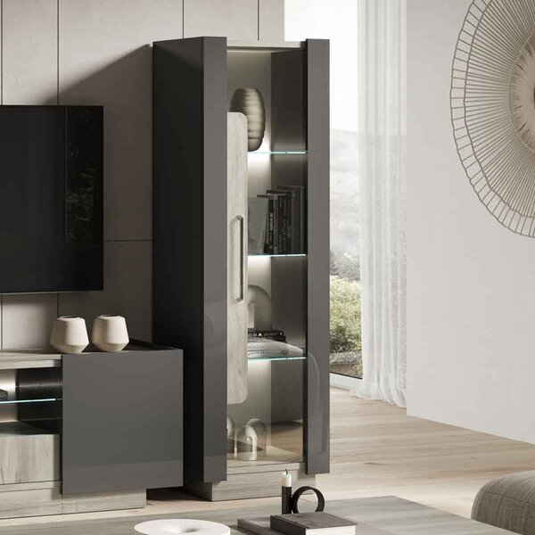 Avora High Gloss Display Cabinet with 1 Door in Dark Grey Pine and LED