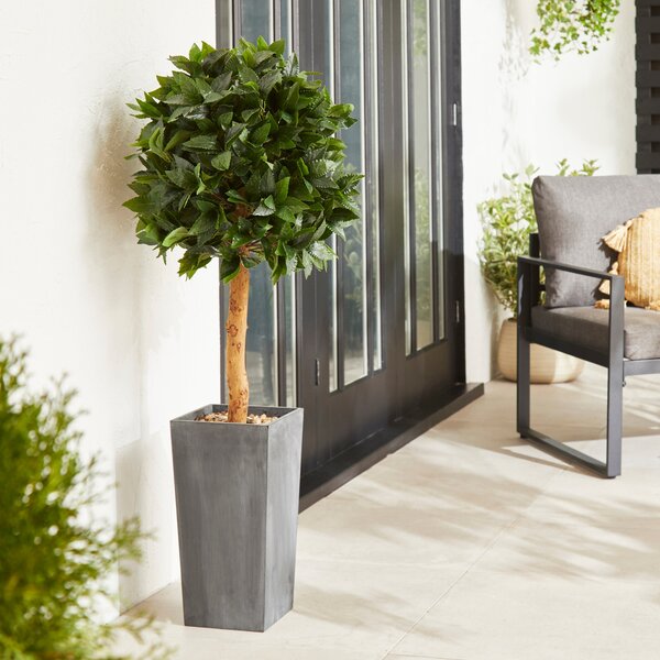 Bay Tree Ball 120cm with Pot Green