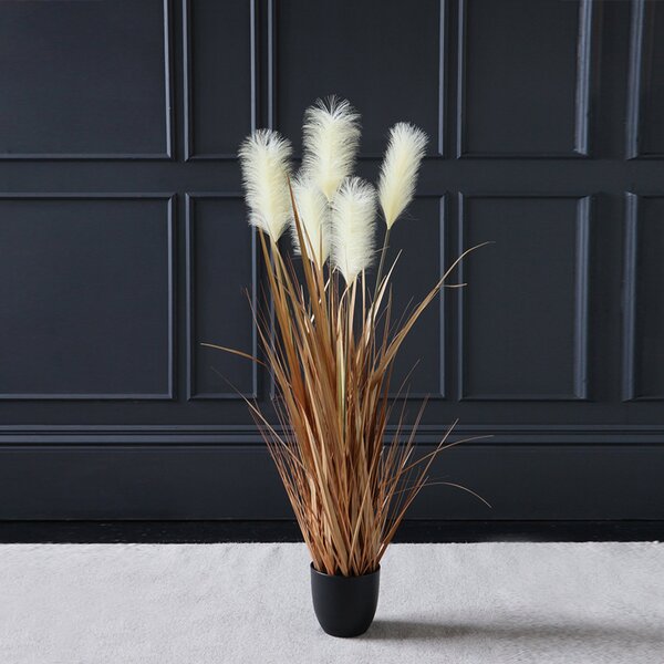 Cream Potted Pampas 120cm Natural