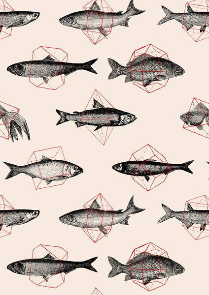Bodart, Florent - Fine Art Print Fishes in Geometrics, (30 x 40 cm)