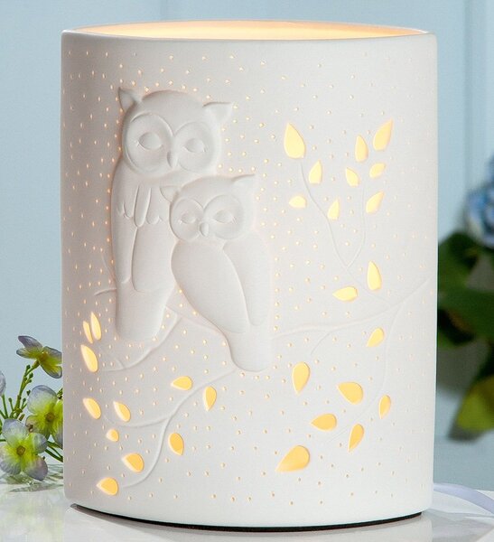 Allegan Large Porcelain Owl Design Table Lamp In White