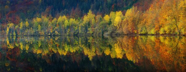 Art Photography Autumnal silence, Burger Jochen, (60 x 23.2 cm)
