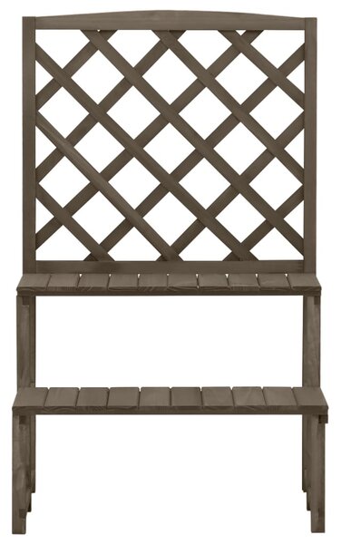 Plant Stand with Trellis Grey 70x42x115 cm Solid Fir Wood