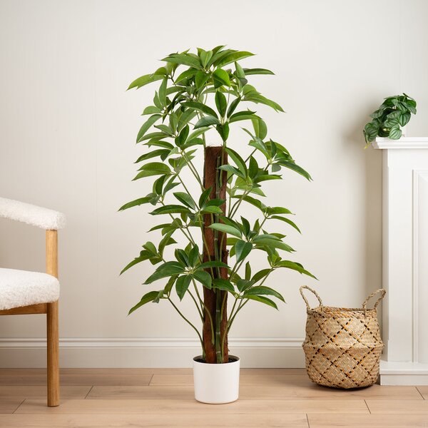 Artificial Climbing Umbrella Plant in White Plant Pot Green