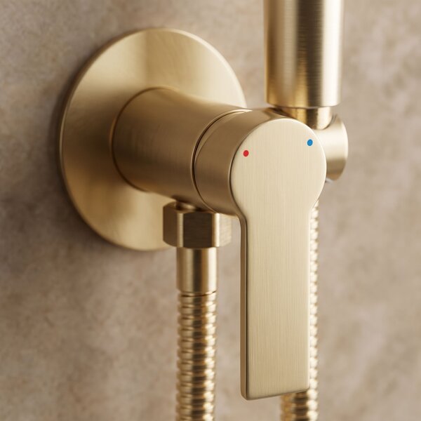 Bidet faucet Rea Argus Brush Gold