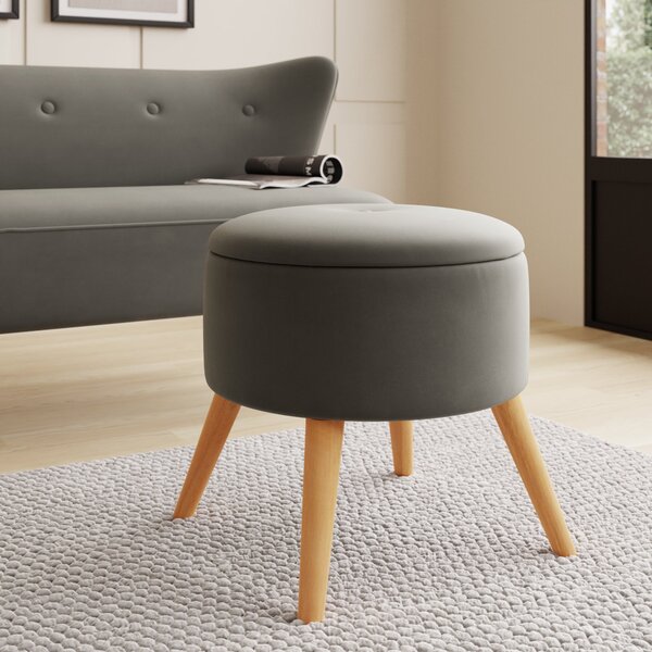 Velvet on sale storage footstool