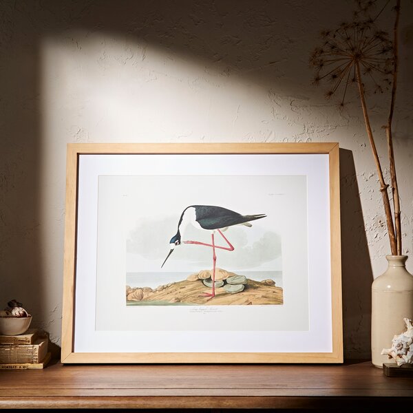 Framed Bird Art 52cm x 42cm Wood (Brown)