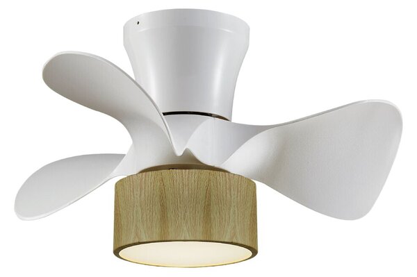 Ceiling Fan with Light Romimex White Natural