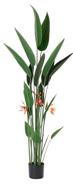 Decorative Plant DKD Home Decor 75 x 75 x 180 cm Orange Green Yellow polypropylene Bird of paradise