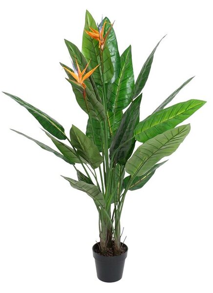 Decorative Plant DKD Home Decor PVC Plastic 100 x 100 x 145 cm