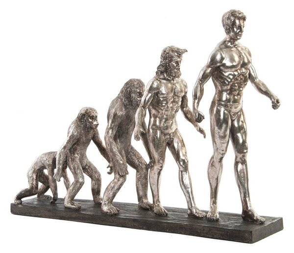 Decorative Figure DKD Home Decor Origin of Species Silver Chromed 55 x 18 x 42 cm