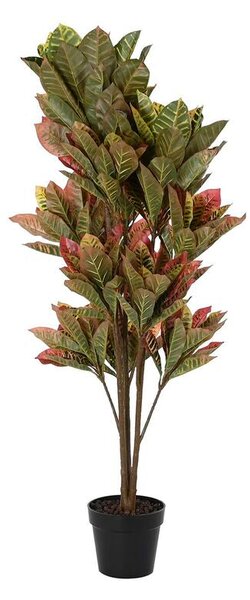 Decorative Plant DKD Home Decor Brown Polyethylene Green 50 x 50 x 140 cm