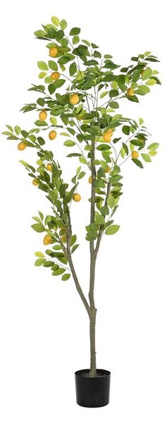 Tree DKD Home Decor Lemon tree Polyester polypropylene (90 x 90 x 180 cm)