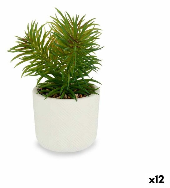 Decorative Plant White Green (14 x 20 x 14 cm) (12 Units)