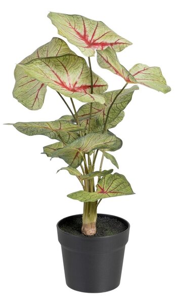 Decorative Plant Red Green PVC 40 x 35 x 55 cm