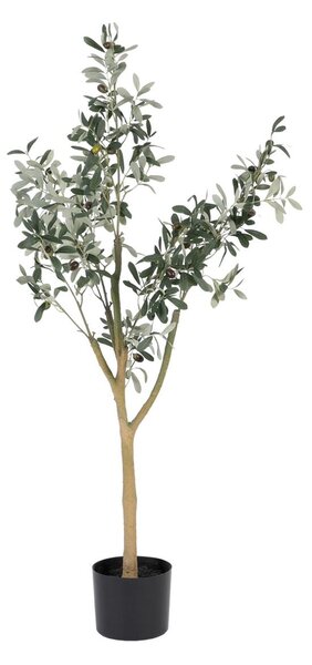 Decorative Plant Polyester Polyethylene Olive tree 55 x 60 x 112 cm