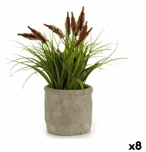 Decorative Plant Ear (of wheat) Plastic 12 x 30 x 12 cm (8 Units)