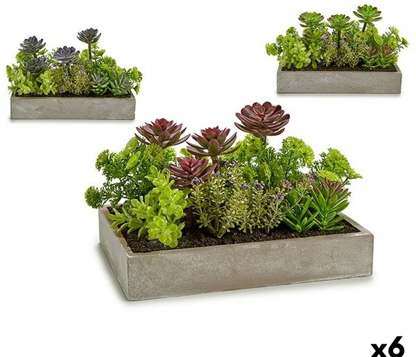 Decorative Plant Succulent Plastic Cement 16,5 x 20 x 28,5 cm (6 Units)