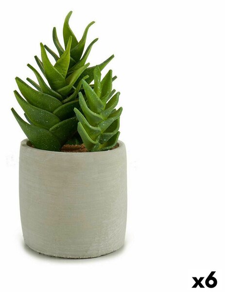 Decorative Plant Succulent Plastic 12 x 24 x 12 cm (6 Units)