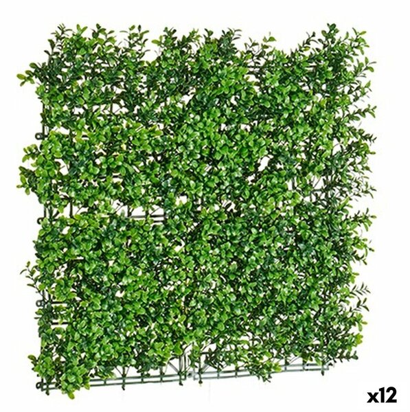 Vertical Garden Kit Green 50 x 5 x 50 cm (12 Units)