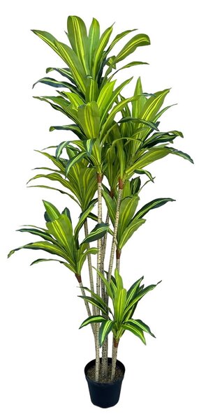 Decorative Plant Polyurethane Cement 180 cm