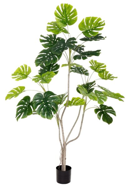 Decorative Plant Polyurethane Cement Monstera 180 cm