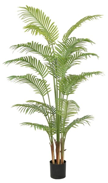 Decorative Plant Polyurethane Cement Areca 180 cm