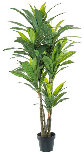 Decorative Plant Alexandra House Living Plastic Dracaena 160 cm